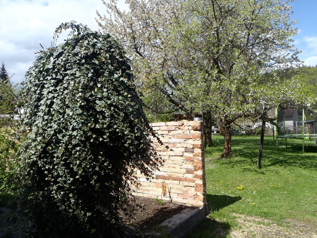 Penzion Villa Marion Mariánské Lázně Kültér fotó