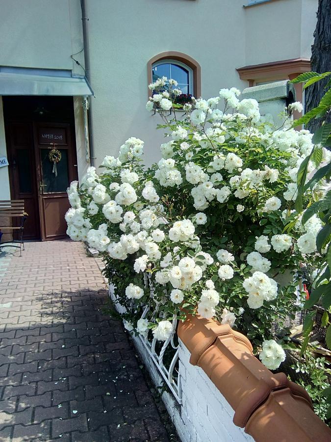 Penzion Villa Marion Mariánské Lázně Kültér fotó